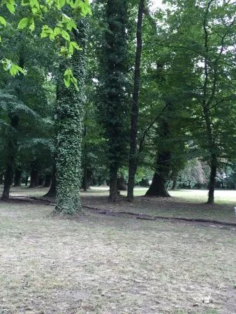 Irrgarten Altjessnitz