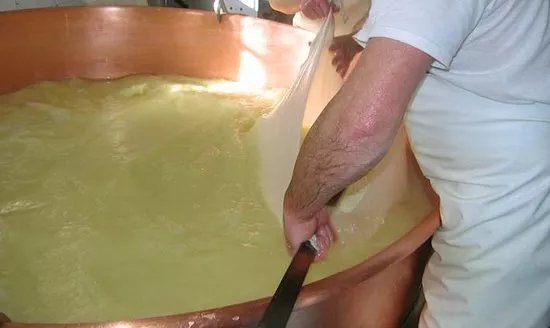 Latteria Sociale Di Buja
