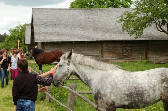 Horse museum