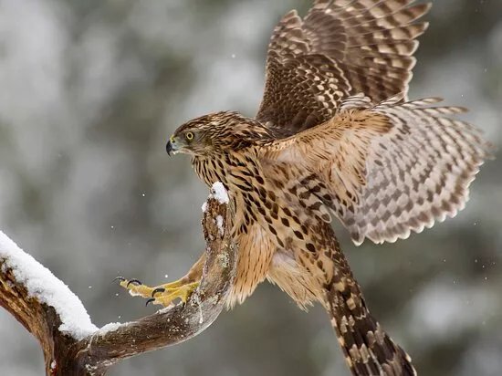 Epic Nature Sweden