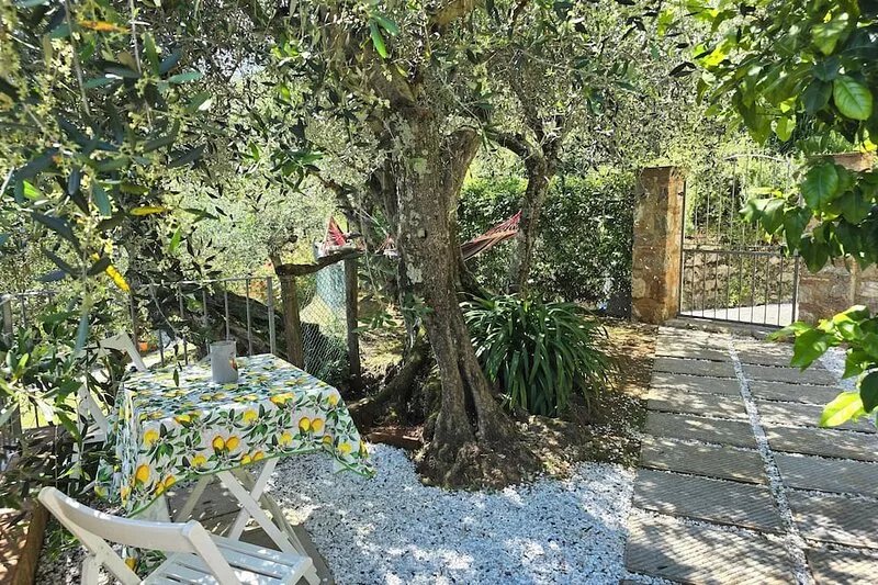 Detached house in nature suitable for families (2 double bedrooms) and dogs