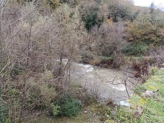 Fiume Savuto