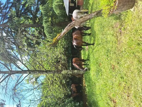 MBH Ranch