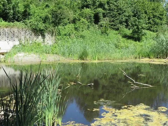 Centre-Nature BirdLife de La Sauge