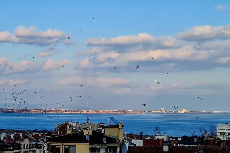A spacious terrace with a view of the sea at the top of the building.