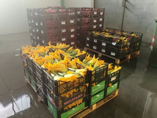 Santi Frutta