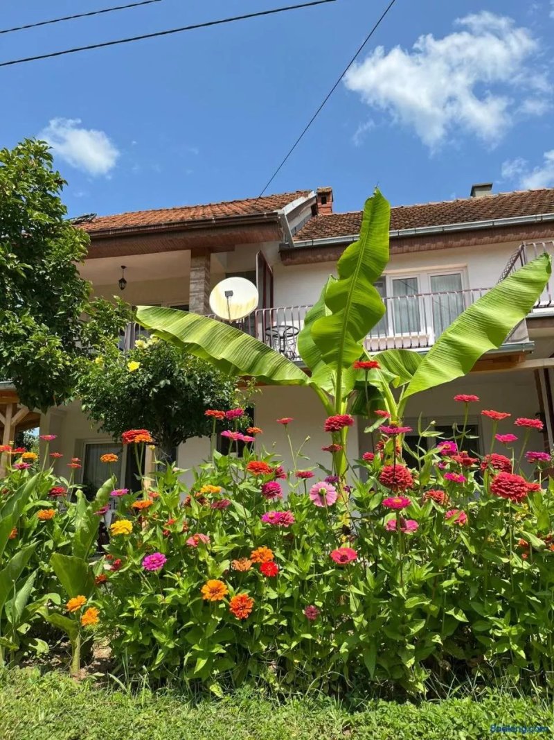 Apartmani Simonovic