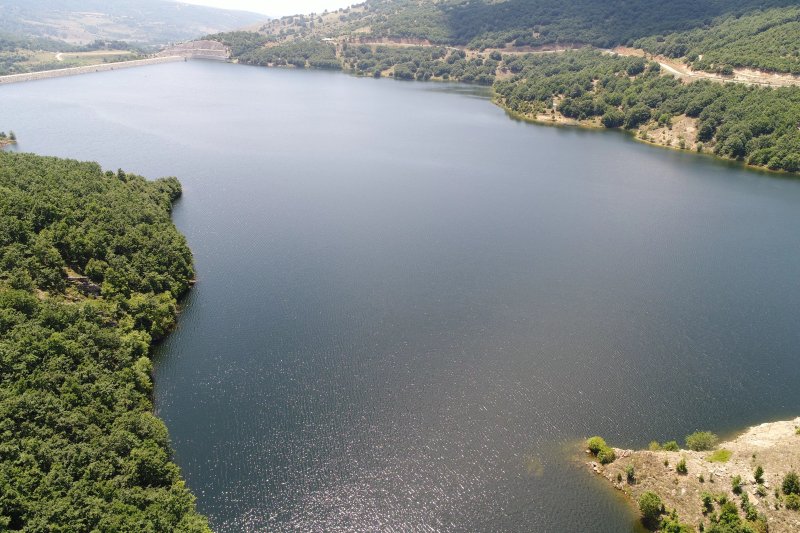 Fragma Papadias