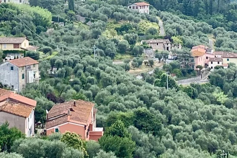chaming little house with pool facing the most  beautiful tuscan scenary
