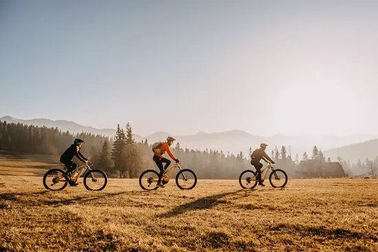 Joy Ride - BIKE AND SKI RENTAL