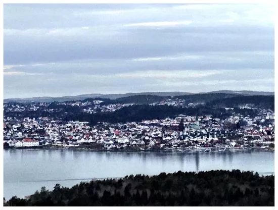 Floresteinen
