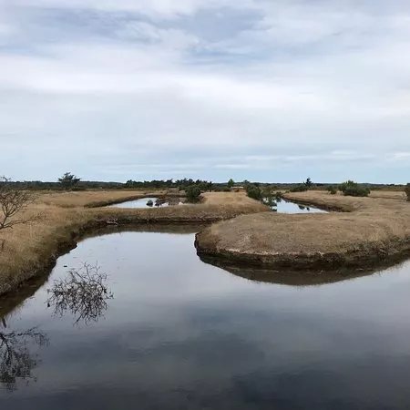Les Trois Marais Salants de l'Ile d'Olonne
