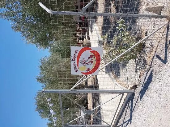Patricia's Animal Farm