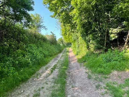 The Sunken Lane