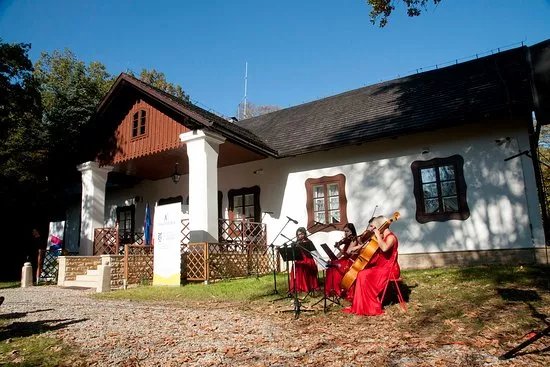 Muzeum Dwor w Doledze