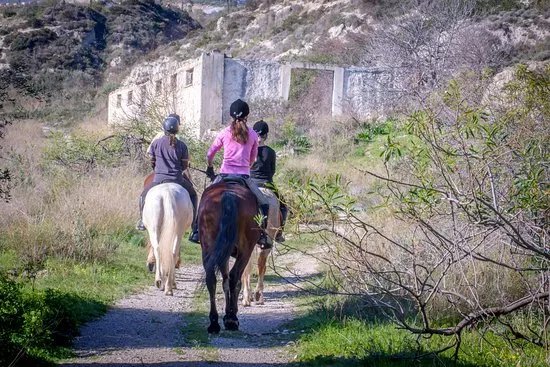Riding Academy of Crete - Ippikos Riding Club