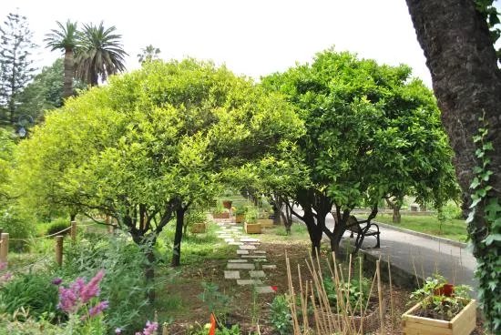 Jardin du Palais Carnoles