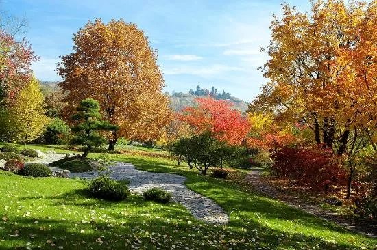 Prague Botanical Garden