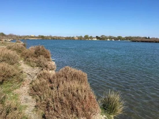 Nature et Decouvertes de la Camargue en 4x4