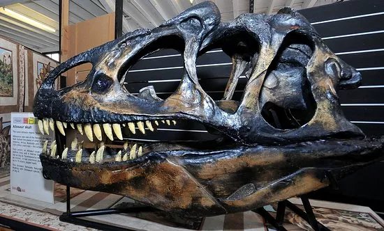 Dinostar - Hull's Dinosaur Experience