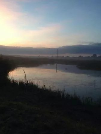Hen Reedbeds