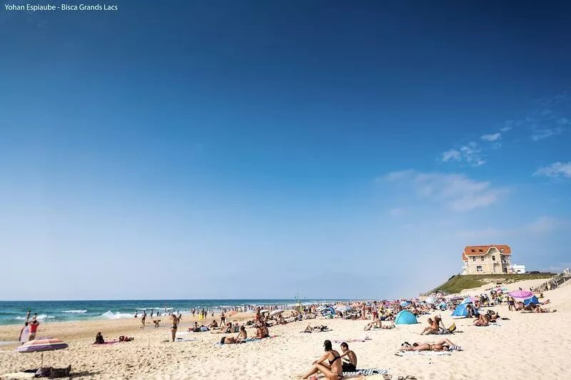 Villa Biscarrosse Plage : Pool, 18 pers + 2 babies, Garden, Beach 10 min