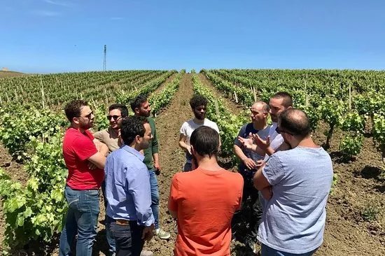 Azienda Agricola Bioviola & Sicili Bottega Biologica