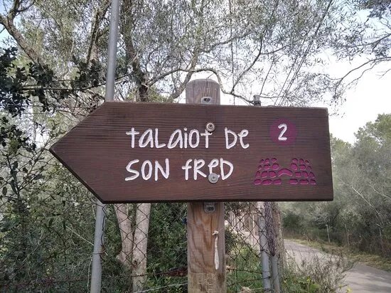 Talaiot De "son Fret" Sencelles Mallorca
