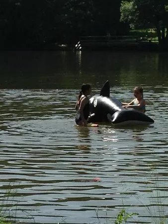 Waldsee
