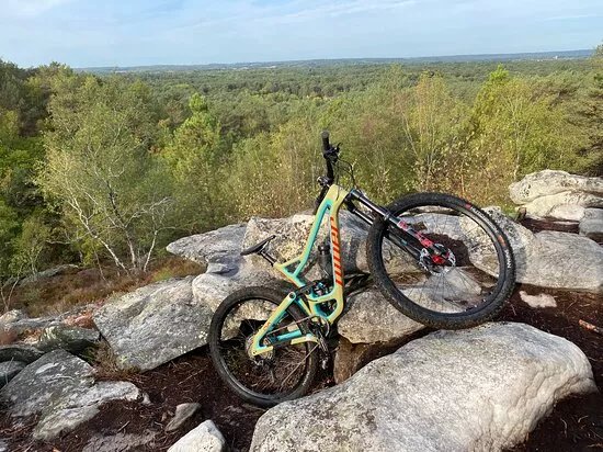 Vtt Fontainebleau