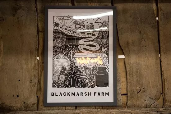 Blackmarsh Farm