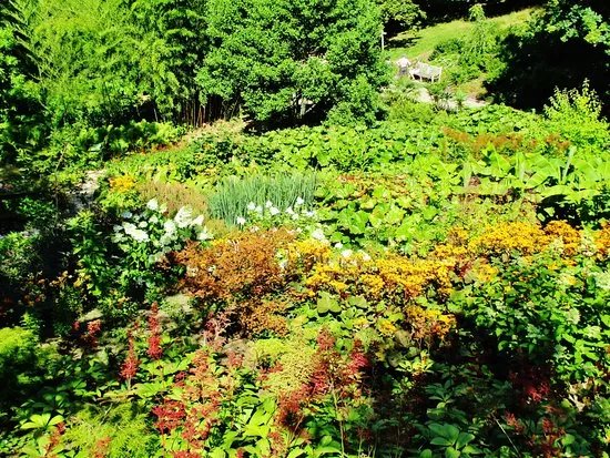 Sir Harold Hillier Gardens