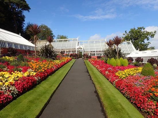 Ardencraig Gardens