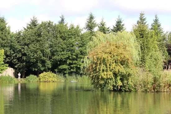 Moon Lake Fishery