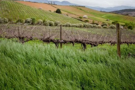 Bodega Perez Carames
