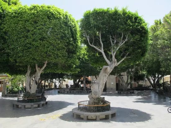 Plaza Del Rosario