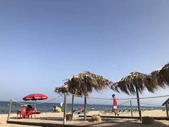 Lido Verde