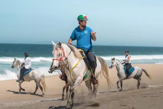 Horses by the Beach