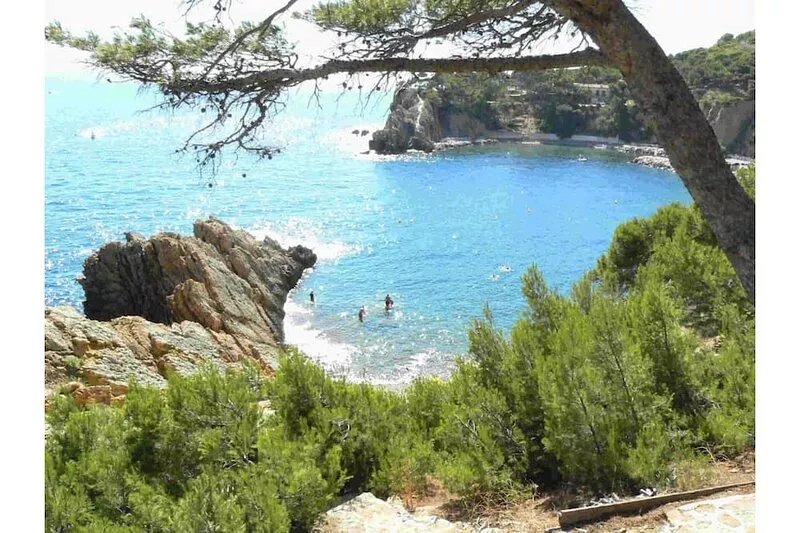 Waterfront, sleeps 8, direct access to the sea in 1 min.