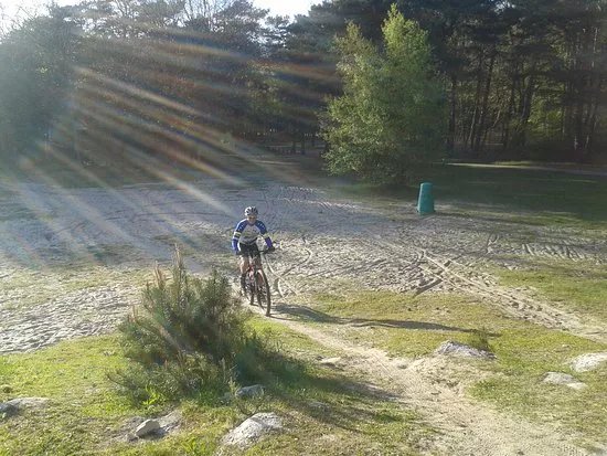 Fietsverhuur Vierhouten