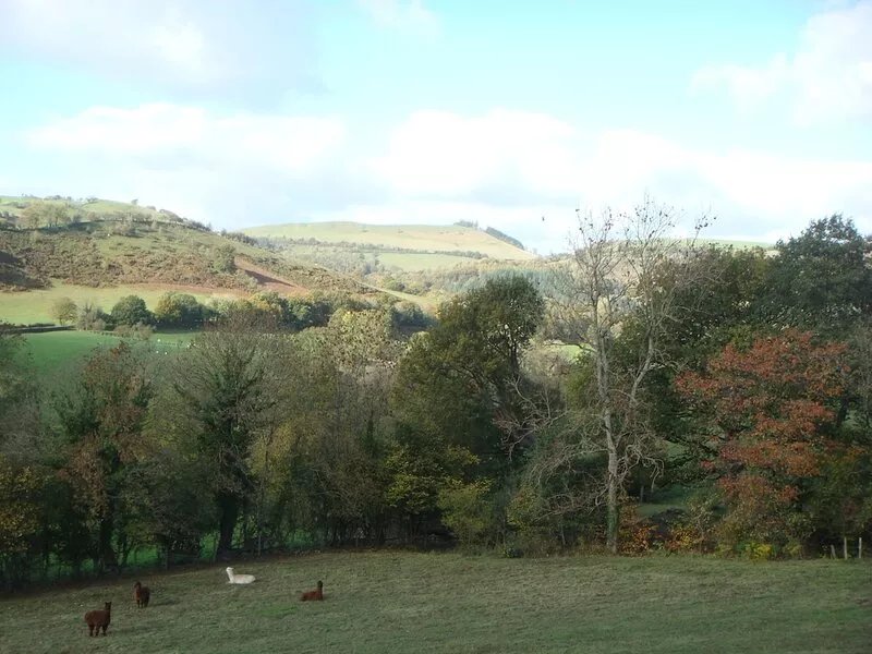 Secluded Converted Barn in the Heart Of Rural Mid Wales.