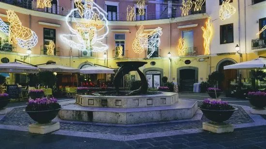 Fontana dei delfini