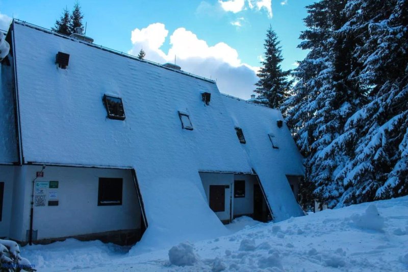Apartments Rogla