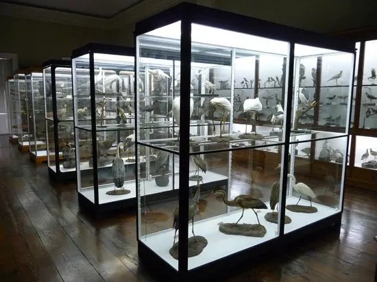 Museum of Natural History (Municipal Museum of Funchal)