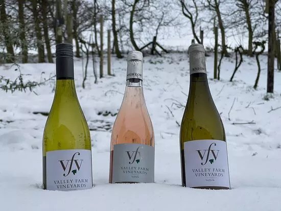 Valley Farm Vineyards