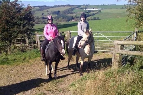 Long Mountain centre log cabins & Pony Trekking