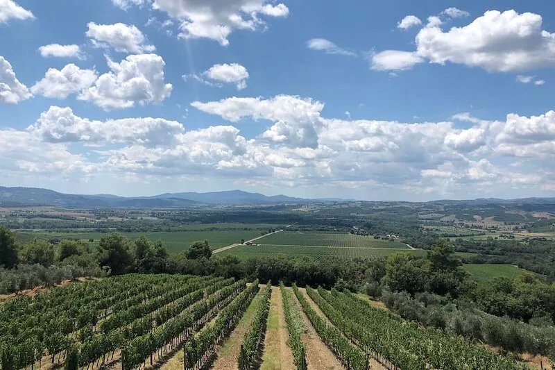 Charming Tuscan Villa Near Siena/ Capitivating Private Setting / Lrg Heated