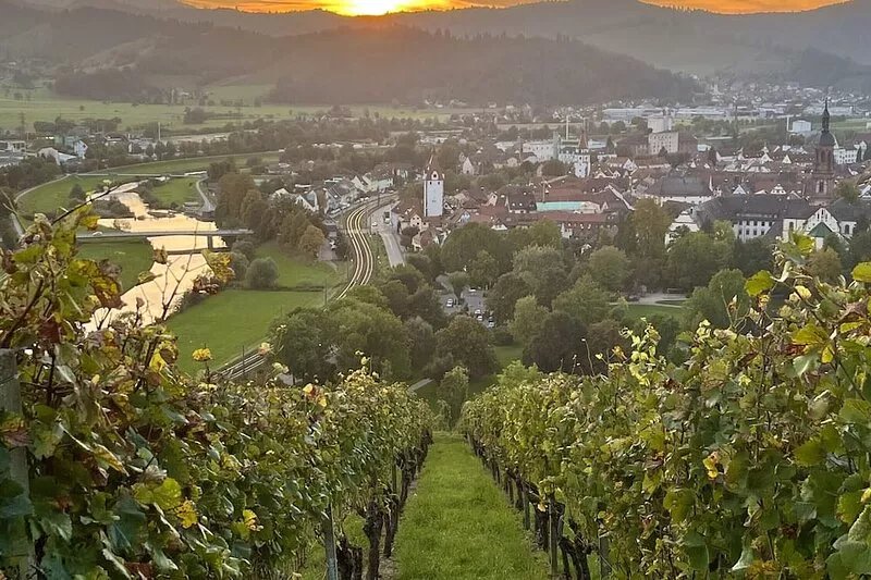 Apartment 'Coucou - Nest Im Schwarzwald' with Private Terrace