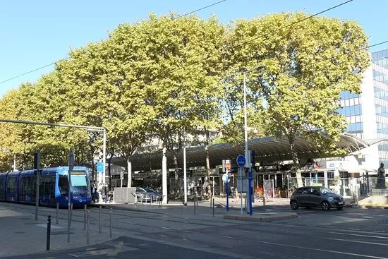 Halles Jacques Coeur