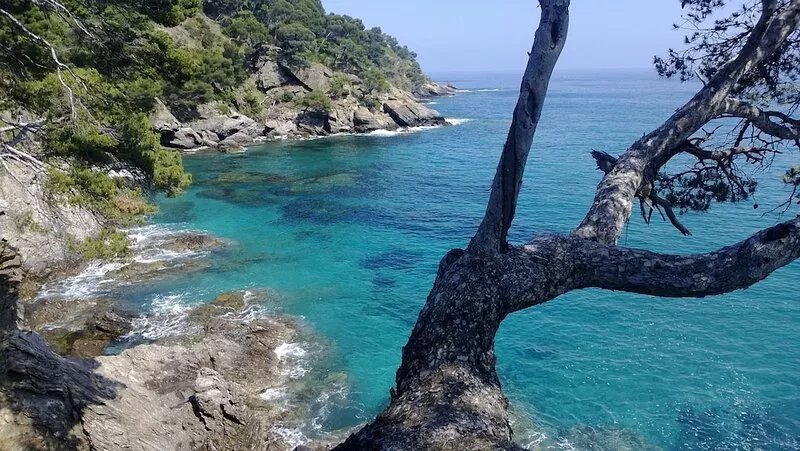 LE MAS DES VIGNES, a garden of Eden near the sea, heated pool, park